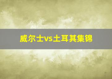 威尔士vs土耳其集锦