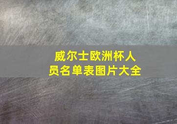 威尔士欧洲杯人员名单表图片大全