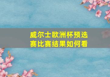 威尔士欧洲杯预选赛比赛结果如何看