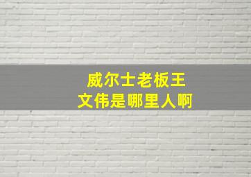 威尔士老板王文伟是哪里人啊