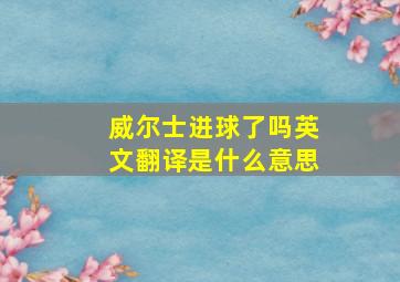 威尔士进球了吗英文翻译是什么意思