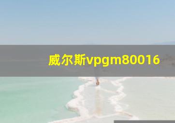 威尔斯vpgm80016