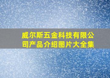 威尔斯五金科技有限公司产品介绍图片大全集