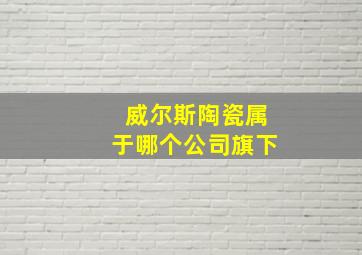 威尔斯陶瓷属于哪个公司旗下