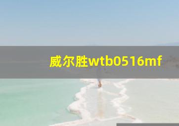 威尔胜wtb0516mf