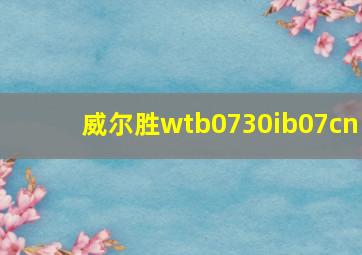 威尔胜wtb0730ib07cn