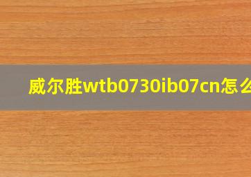 威尔胜wtb0730ib07cn怎么样