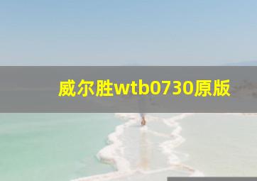 威尔胜wtb0730原版