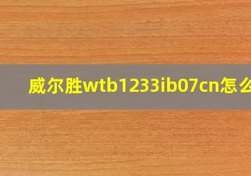 威尔胜wtb1233ib07cn怎么样