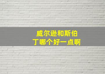 威尔逊和斯伯丁哪个好一点啊