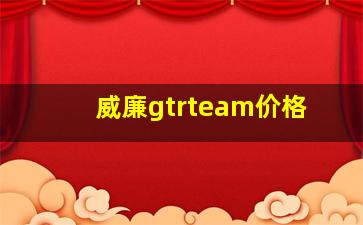 威廉gtrteam价格