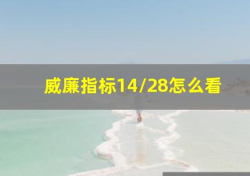 威廉指标14/28怎么看