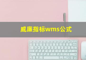 威廉指标wms公式