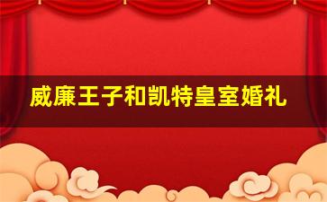 威廉王子和凯特皇室婚礼