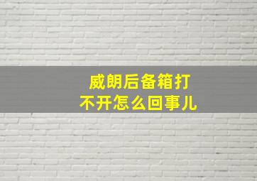 威朗后备箱打不开怎么回事儿