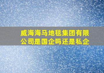 威海海马地毯集团有限公司是国企吗还是私企