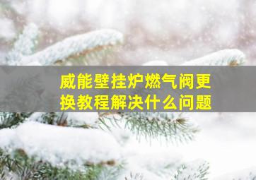 威能壁挂炉燃气阀更换教程解决什么问题