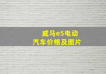 威马e5电动汽车价格及图片