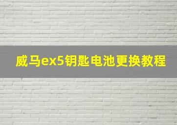 威马ex5钥匙电池更换教程