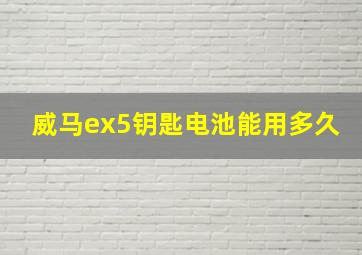 威马ex5钥匙电池能用多久