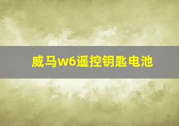 威马w6遥控钥匙电池