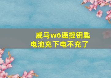 威马w6遥控钥匙电池充下电不充了