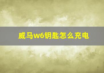 威马w6钥匙怎么充电