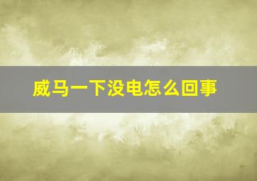 威马一下没电怎么回事