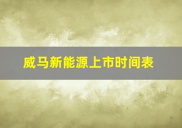 威马新能源上市时间表