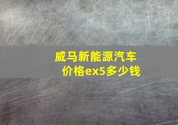 威马新能源汽车价格ex5多少钱