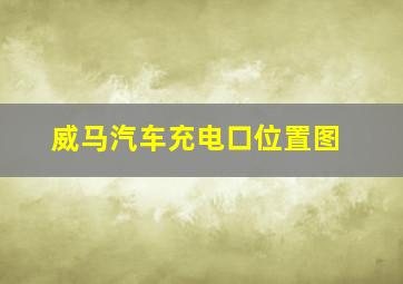 威马汽车充电口位置图