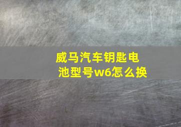 威马汽车钥匙电池型号w6怎么换