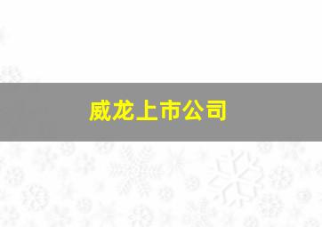 威龙上市公司