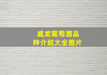 威龙葡萄酒品种介绍大全图片