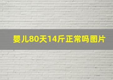 婴儿80天14斤正常吗图片