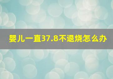 婴儿一直37.8不退烧怎么办