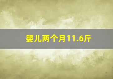 婴儿两个月11.6斤