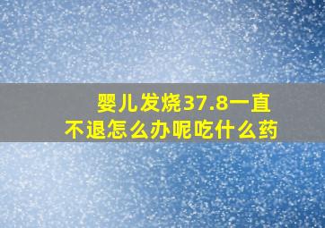 婴儿发烧37.8一直不退怎么办呢吃什么药