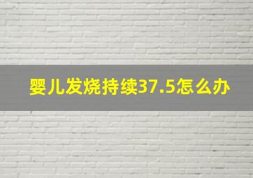 婴儿发烧持续37.5怎么办