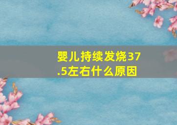 婴儿持续发烧37.5左右什么原因