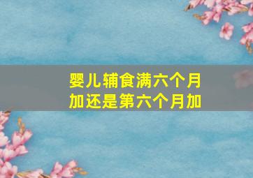 婴儿辅食满六个月加还是第六个月加