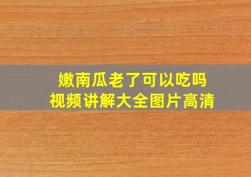 嫩南瓜老了可以吃吗视频讲解大全图片高清