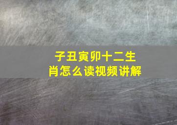 子丑寅卯十二生肖怎么读视频讲解