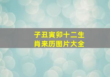 子丑寅卯十二生肖来历图片大全