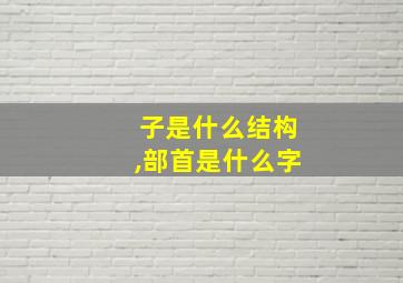 子是什么结构,部首是什么字