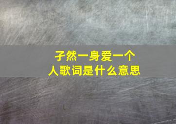 孑然一身爱一个人歌词是什么意思