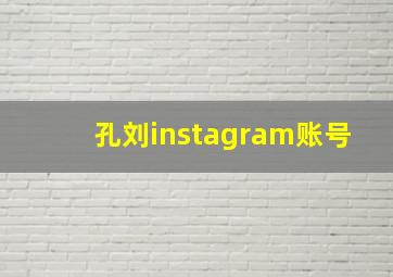 孔刘instagram账号