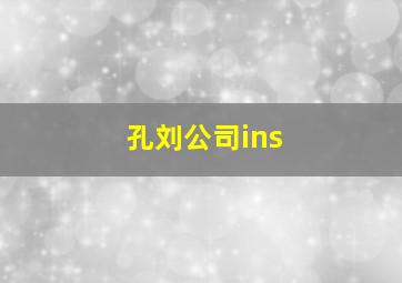 孔刘公司ins