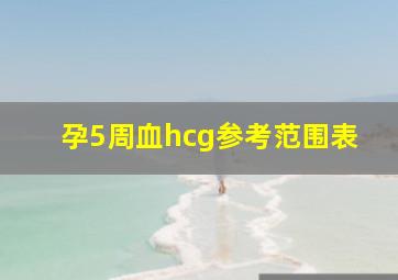 孕5周血hcg参考范围表