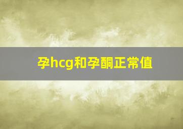 孕hcg和孕酮正常值